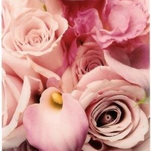 Meet your Posher, Felicia